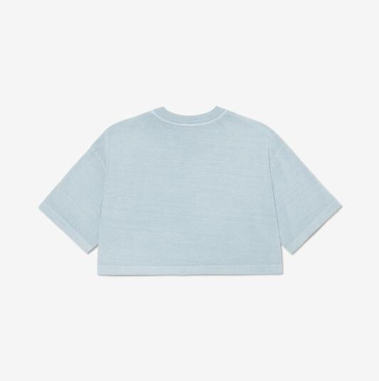 WOMEN'S HEAVYWEIGHT WASHED CROPPED TEE