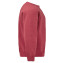 CLASSIC RAGLAN SWEAT